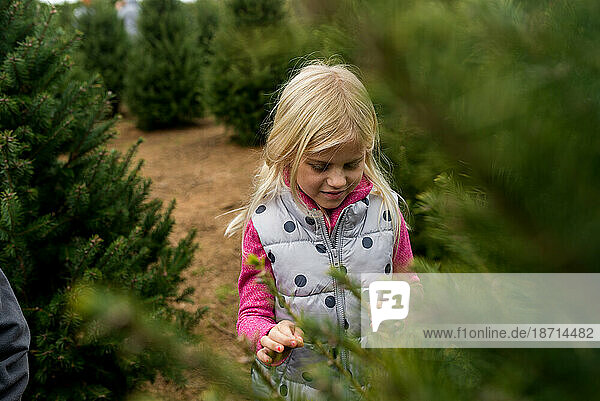 Girl choosing a Christmas tree