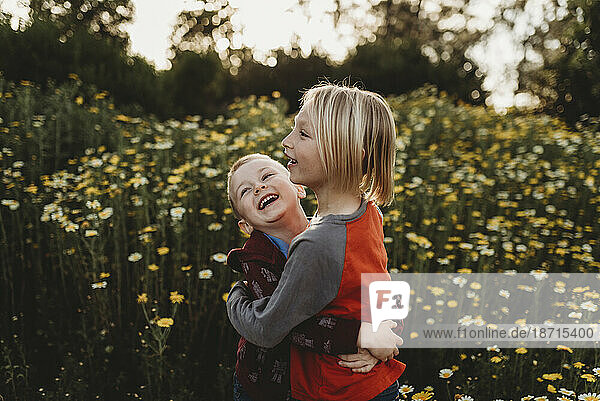 Young brothers playing and hugging in a field of flowers