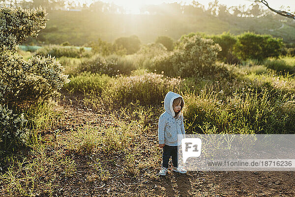Toddler girl standing in backlit field during sunset looking away