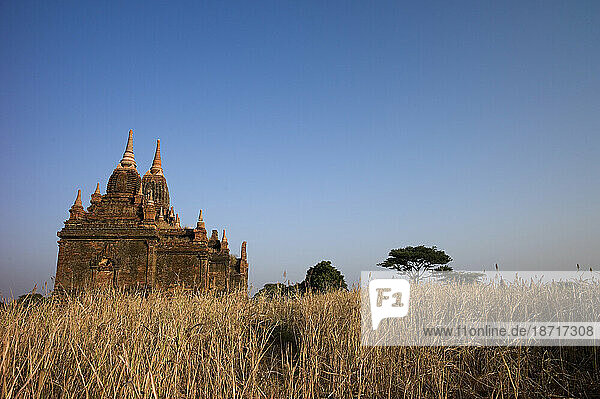 A group of 13th-century pagodas of varying sizes stand among farm fields lining the shores of the Irrawaddy river at Bagan  Union of Myanmar (Burma)