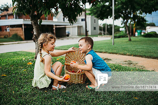 Young boy showing Young girl a fresh picked peach from picnic basket