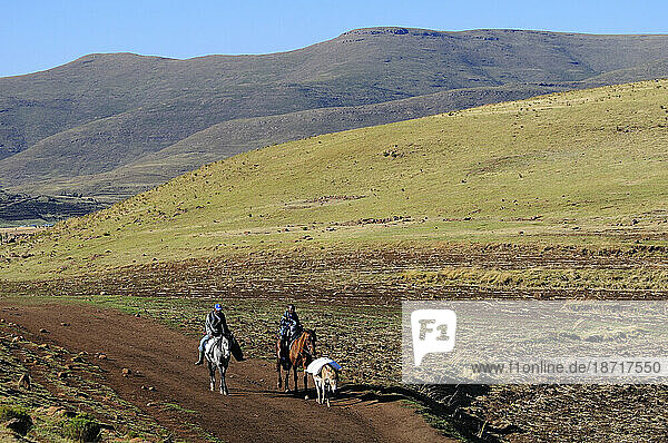 Basotho people on horseback near Semonkong  Lesotho  South Africa