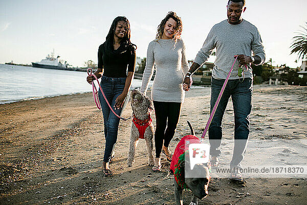blended family walking dogs on beach at sunset