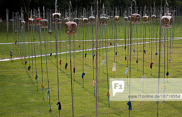 Singing Birds enjoy fresh air and sunshine on Sunday morning from the tops of tall poles at park in Singapore.