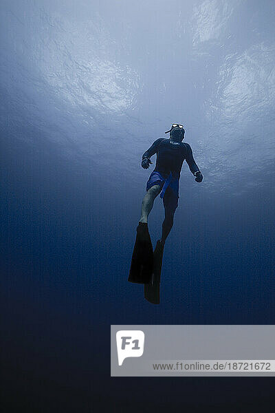 Underwater view from below as a free diver ascends to the surface through the blue waters of Costa Rica.