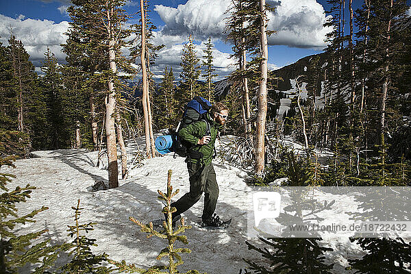 A backpacker snowshoes through subalpine forest in Baker Gulch  Never Summer Wilderness  Colorado.