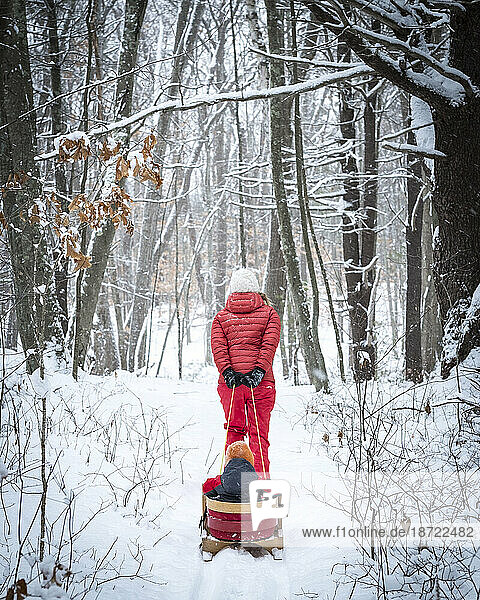 Mom pulls son through the snowy woods of Maine