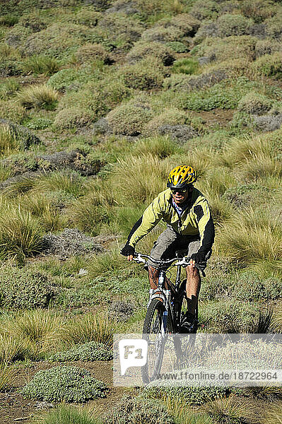 Young guy mountain biking on a path in Patagonia  Chile