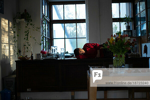 peaceful view of women in late sunlight relaxing quietly at home