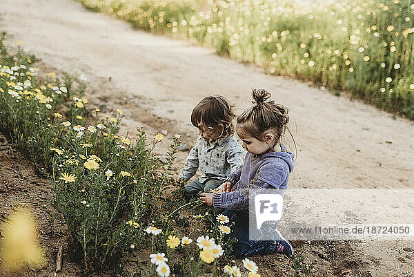 Little children playing in a flower field