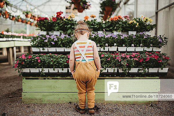 toddler girl with hands on pockets looking at flowers at greenhouse