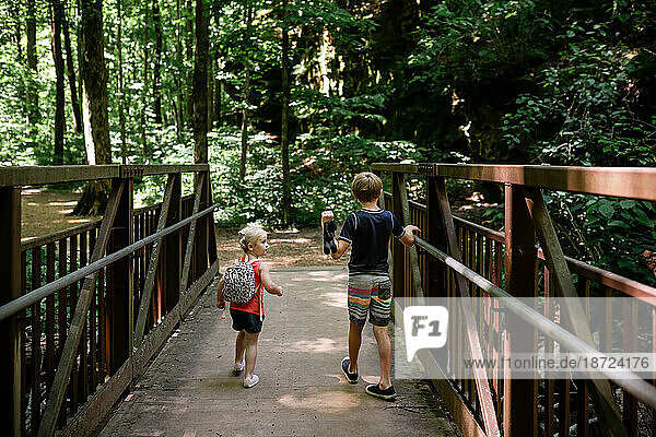 Kids walking across bridge on hike in forest during summer