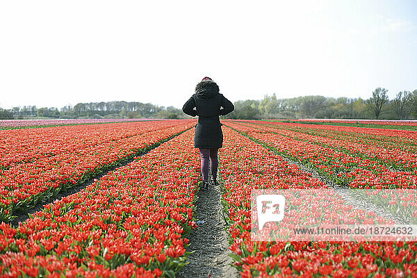Young woman walking among the tulips in the Netherlands.