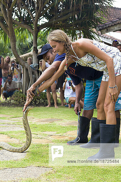 Show of snakes Bali Indonesia