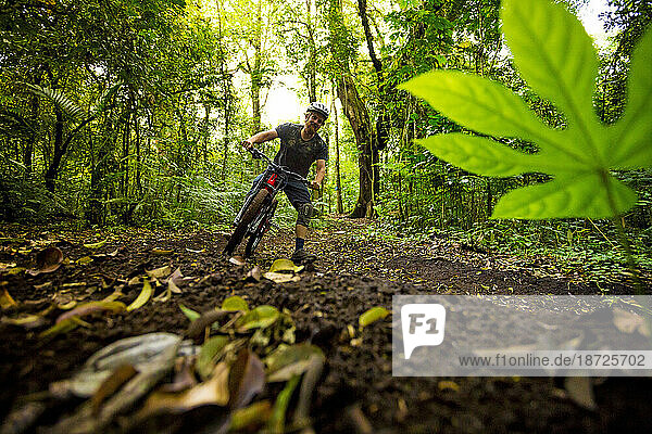 Man Mountain Biking In Tropical Forest Of Bali  Indonesia