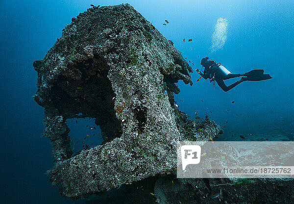 diver exploring ship wreck in the Maldives