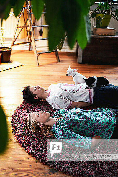 couple at home meditate with dogs on the floor with plants