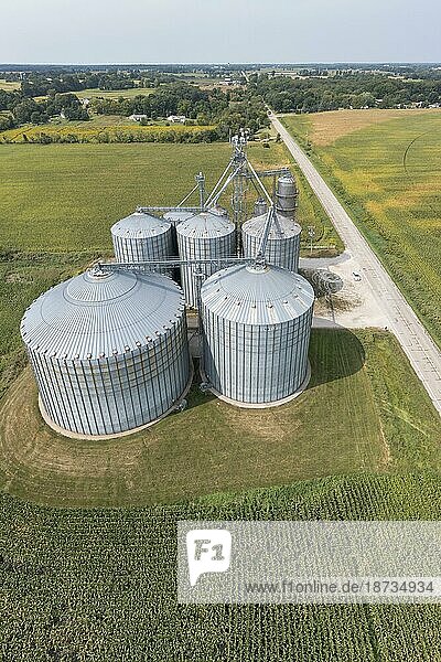Martin  Michigan  Ein Getreidesilokomplex  umgeben von Maisfeldern im Westen Michigans