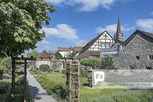 Der Rosengarten mit der historischen Stadtmauer mit Pulverturm  dahinter Altstadthäuser mit dem Münsterturm  Radolfzell am Bodensee  Landkreis Konstanz  Baden-Württemberg  Deutschland  Europa