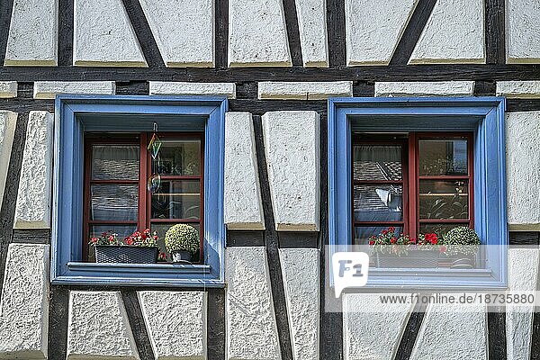 Mit Blumenkästen dekorierte Fenster an einem Fachwerkhaus in der Altstadt von Raolfzell am Bodensee  Landkreis Konstanz  Baden-Württemberg  Deutschland  Europa