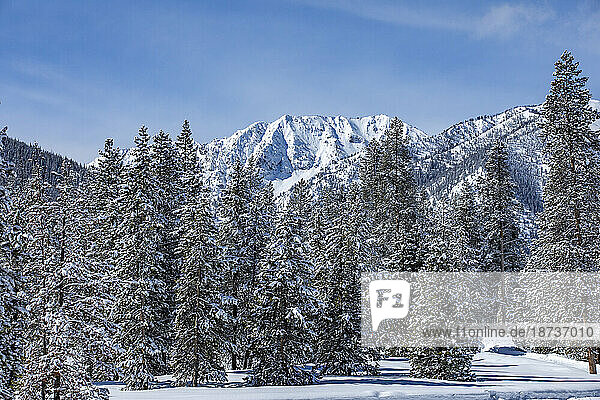USA  Idaho  Sun Valley  Snow-covered mountain peaks and trees