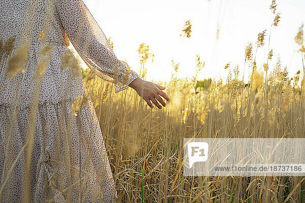Young woman touching plants in field at sunset