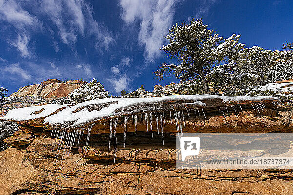 USA  Utah  Springdale  Zion National Park  Icicles hanging from rock in mountains