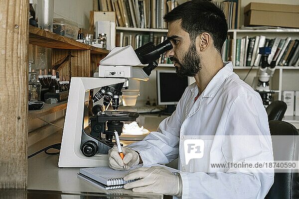 Männlicher Wissenschaftler schaut unter das Mikroskop und analysiert eine Probe in einer Petrischale. Biotechnologische Forschung im Labor