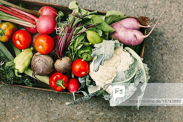 Draufsicht auf einen Kartoncontainer mit verschiedenen frischen Gemüsesorten und Kräutern auf Asphaltboden