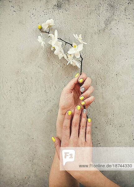 Draufsicht auf Ernte unerkennbar weiblich mit blühenden Blume demonstriert stilvolle saubere Maniküre auf konkreten Hintergrund