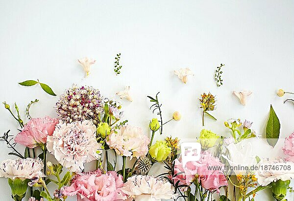 Draufsicht auf organische frische Blumen in schönen Kompositionen auf hellblauem Hintergrund angeordnet