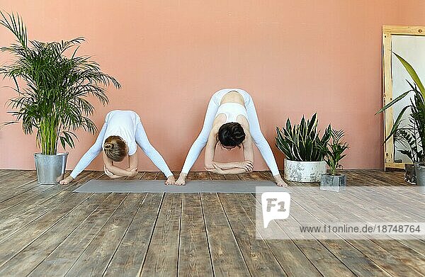 Lächelnde Frau und kleines Mädchen üben Yoga  während sie auf einer Matte im gemütlichen Wohnzimmer mit Pflanzen stehen