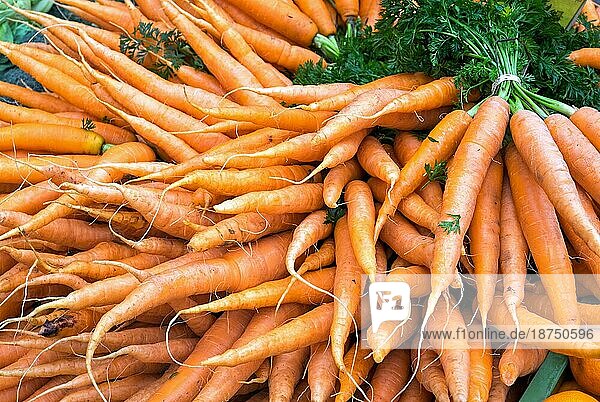 Ein Bund Karotten auf einem Markt