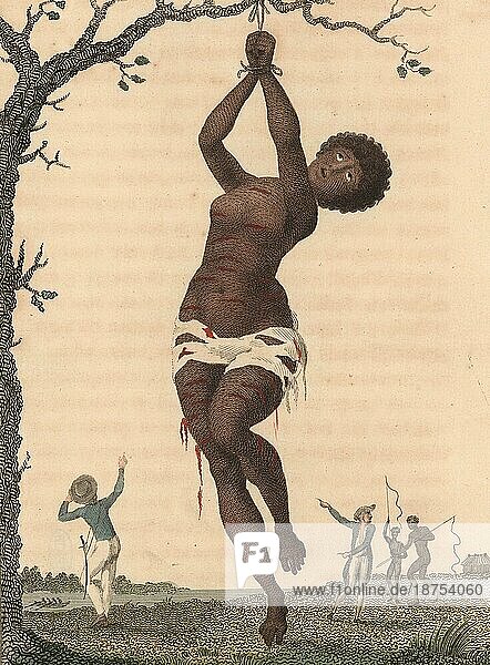 Geißelung einer Samboe-Sklavin (Person mit einem Viertel weißer Abstammung) . Im Hintergrund sind zwei Europäer und zwei schwarze Sklaven-Männer mit Peitschen zu sehen  1796  Historisch  digital restaurierte Reproduktion von einer Vorlage aus dem 19. Jahrhundert