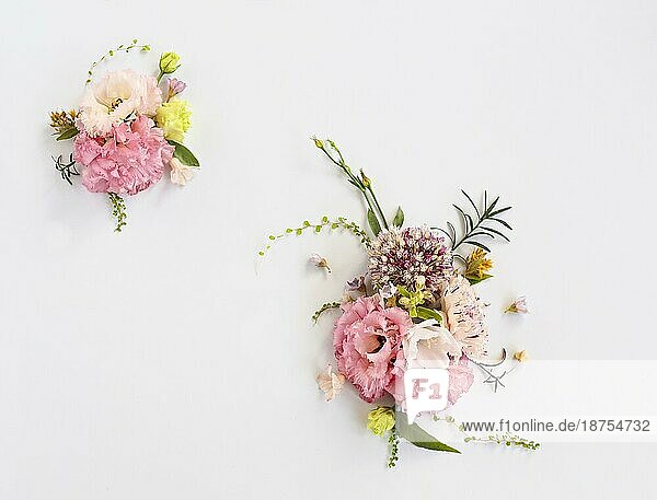 Draufsicht auf organische frische Blumen in schönen Kompositionen auf weißem Hintergrund angeordnet
