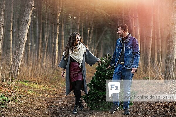 Glücklicher Mann und Frau in warmer Kleidung  die zusammen einen Tannenbaum tragen und auf einem Waldweg gehen