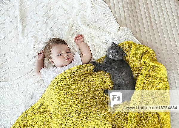 Close up Porträt eines schönen schlafenden Baby und Kätzchen