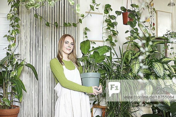 Zufriedene Frau in weißer Schürze  die einen Topf mit einer grünen Pflanze trägt und in die Kamera schaut  während sie in einem Geschäft arbeitet