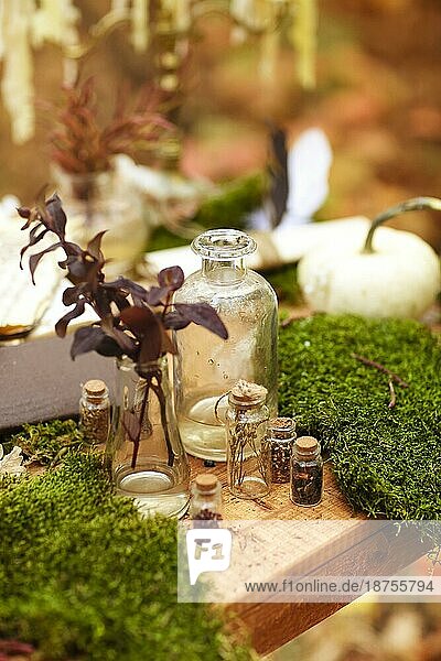 Soft Fokus der Zusammensetzung der kleinen Glasflaschen und verschiedene Pflanzen auf Holztisch platziert