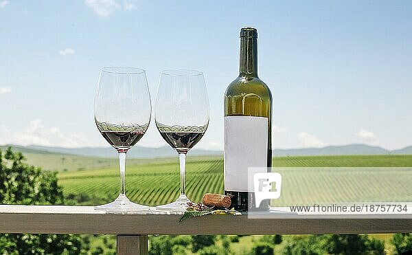 Rotweinflasche  Weinrebe  Gläser und Korken auf Weinberg Hintergrund