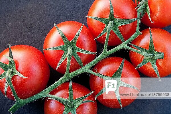 Nahaufnahme einiger reifer Tomaten am Rebstock