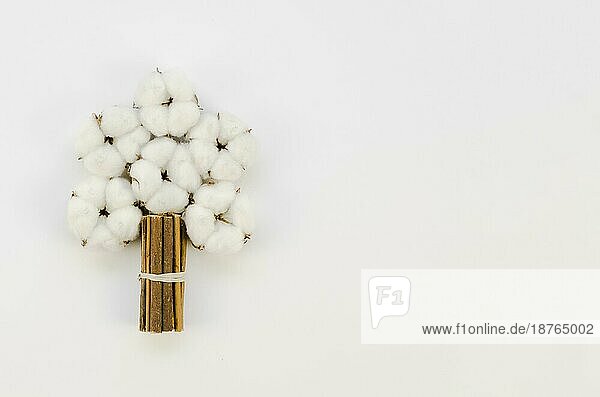 Ansicht von oben Baumwolle Blumenstrauß mit Kopie Raum. Auflösung und hohe Qualität schönes Foto