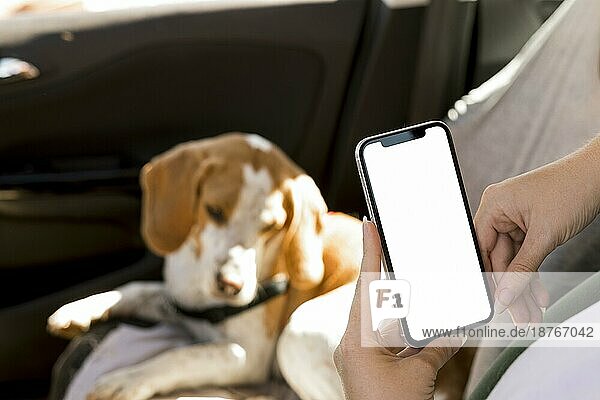 Person hält Mobiltelefon unscharf Hund Hintergrund