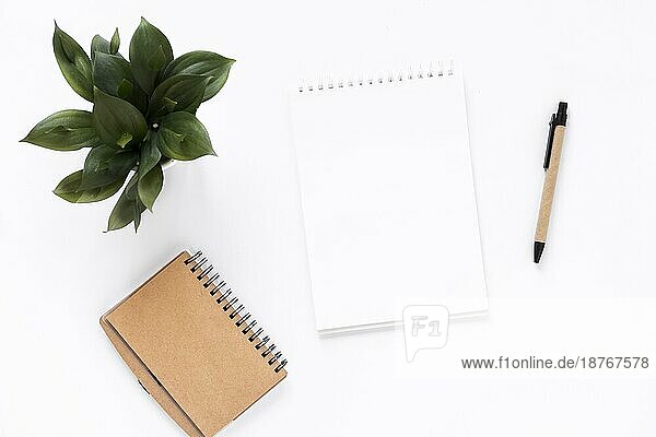 Hohe Winkel Ansicht Spirale Notizblock Tagebuch Topfpflanze Stift weißem Hintergrund