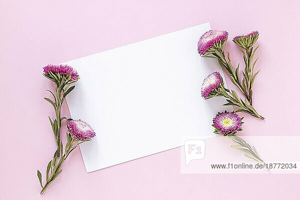 Hohe Winkelansicht Blumen leeres Papier Blatt rosa Kulisse. Hohe Auflösung Foto