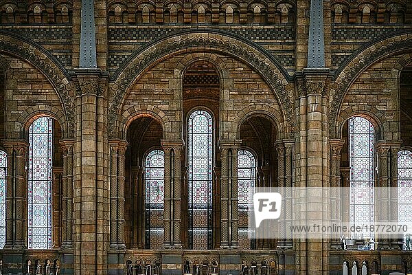 Innenansicht des Natural History Museum in London
