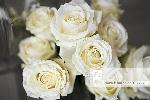 Draufsicht auf einen frischen weißen Rosenstrauß Foto mit hoher Auflösung