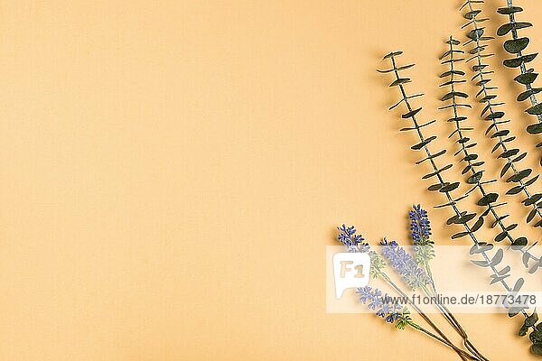 Ansicht von oben natürliches Lavendelpapier. Schönes Foto