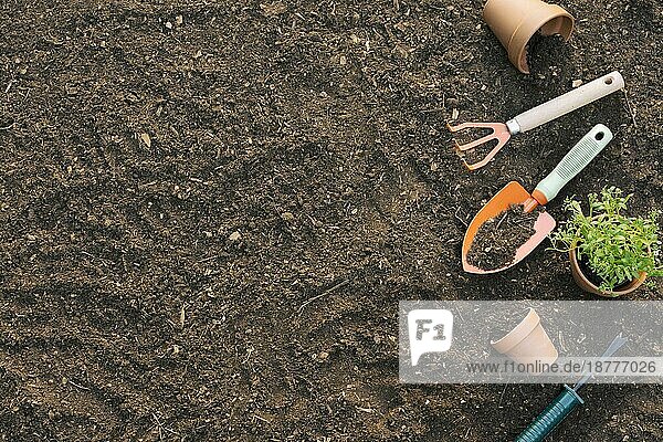 Werkzeuge Töpfe mit Pflanzen Erde. Auflösung und hohe Qualität schönes Foto