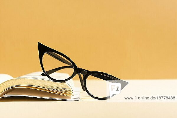 Retro-Brille Buch. Foto mit hoher Auflösung